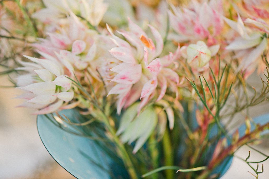 Photo Mini-Protea im aqua Wasserkübel als Dekoration bei der beach wedding